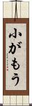 小がもう Scroll