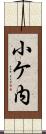 小ケ内 Scroll