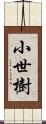 小世樹 Scroll