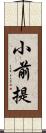 小前提 Scroll