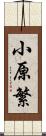 小原繁 Scroll