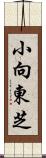 小向東芝 Scroll