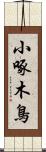 小啄木鳥 Scroll