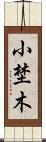 小埜木 Scroll