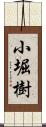 小堀樹 Scroll