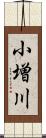 小増川 Scroll