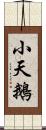 小天鵝 Scroll