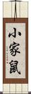 小家鼠 Scroll