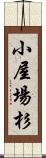 小屋場杉 Scroll