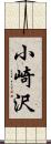小崎沢 Scroll