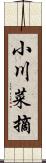 小川菜摘 Scroll