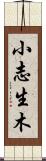 小志生木 Scroll