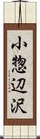 小惣辺沢 Scroll