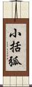 小括弧 Scroll