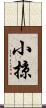 小掠 Scroll