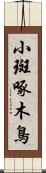 小斑啄木鳥 Scroll