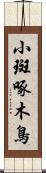 小斑啄木鳥 Scroll