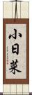 小日菜 Scroll