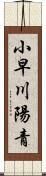 小早川陽青 Scroll