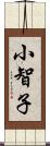 小智子 Scroll