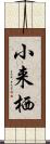 小来栖 Scroll