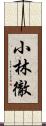 小林徹 Scroll