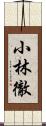 小林徹 Scroll