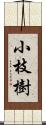 小枝樹 Scroll