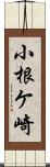 小根ケ崎 Scroll