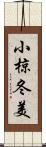 小椋冬美 Scroll