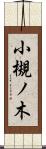 小槻ノ木 Scroll