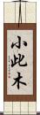 小此木 Scroll