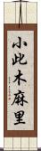 小此木麻里 Scroll