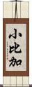 小比加 Scroll