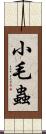 小毛蟲 Scroll