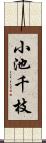 小池千枝 Scroll