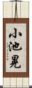 小池晃 Scroll