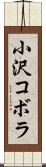 小沢コボラ Scroll