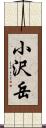 小沢岳 Scroll