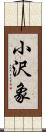 小沢象 Scroll