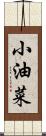 小油菜 Scroll
