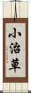 小治草 Scroll