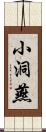 小洞燕 Scroll