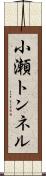 小瀬トンネル Scroll