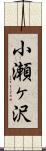 小瀬ヶ沢 Scroll