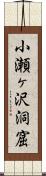 小瀬ヶ沢洞窟 Scroll