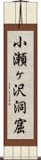 小瀬ヶ沢洞窟 Scroll