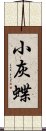 小灰蝶 Scroll