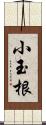 小玉根 Scroll