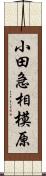 小田急相模原 Scroll